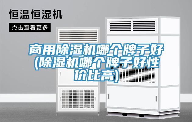 商用草莓污视频在线看哪個牌子好(草莓污视频在线看哪個牌子好性價比高)
