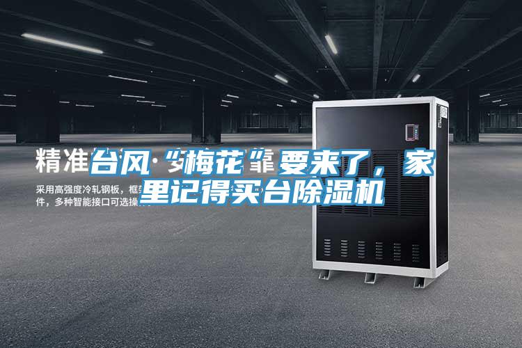 台風“梅花”要來了，家裏記得買台草莓污视频在线看