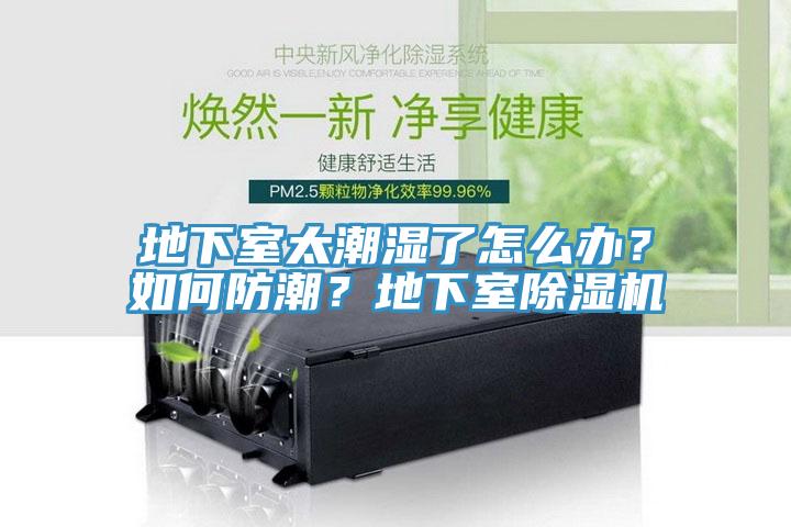 地下室太潮濕了怎麽辦？如何防潮？地下室草莓污视频在线看