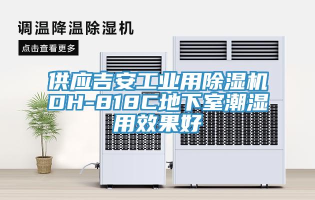 供應吉安工業用草莓污视频在线看DH-818C地下室潮濕用效果好