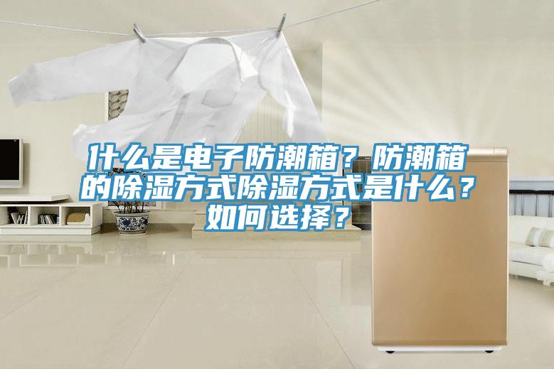 什麽是電子防潮箱？防潮箱的除濕方式除濕方式是什麽？如何選擇？