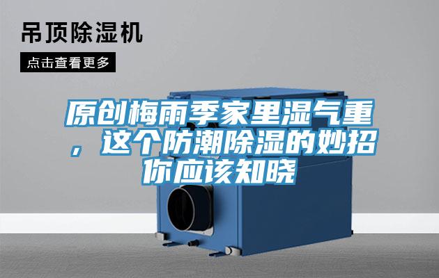原創梅雨季家裏濕氣重，這個防潮除濕的妙招你應該知曉