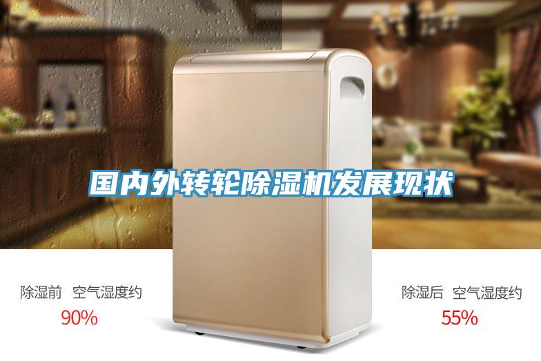 國內外轉輪草莓污视频在线看發展現狀