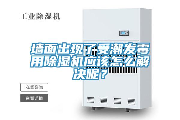 牆麵出現了受潮發黴用草莓污视频在线看應該怎麽解決呢？