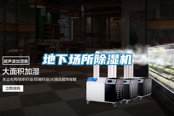 地下場所草莓污视频在线看