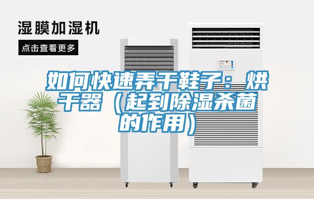 如何快速弄幹鞋子：烘幹器（起到除濕殺菌的作用）