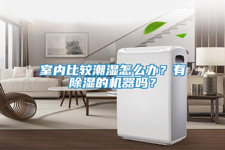 室內比較潮濕怎麽辦？有除濕的機器嗎？
