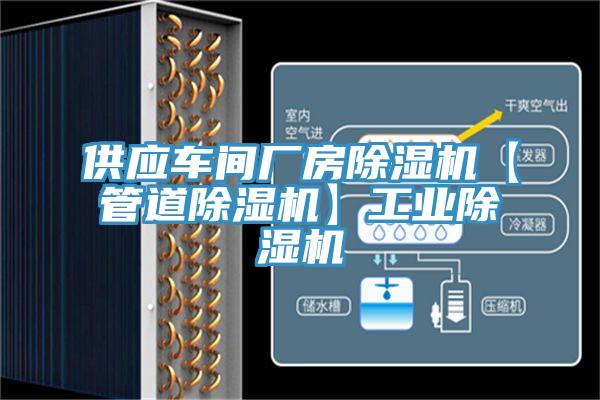 供應車間廠房草莓污视频在线看【管道草莓污视频在线看】工業草莓污视频在线看
