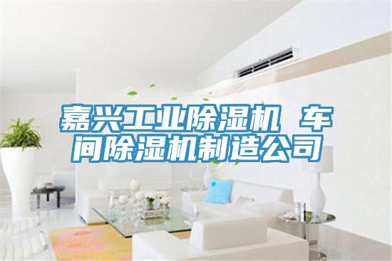 嘉興工業草莓污视频在线看 車間草莓污视频在线看製造公司