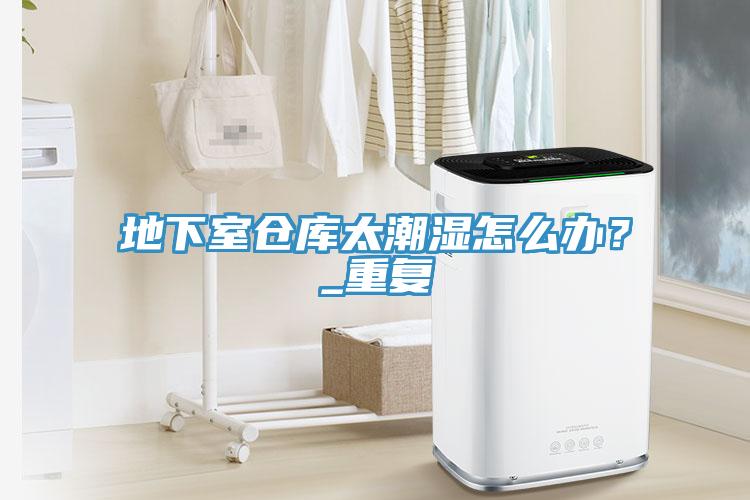 地下室倉庫太潮濕怎麽辦？_重複