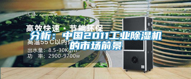 分析：中國2011工業草莓污视频在线看的市場前景