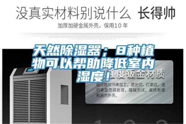 天然除濕器；8種植物可以幫助降低室內濕度！