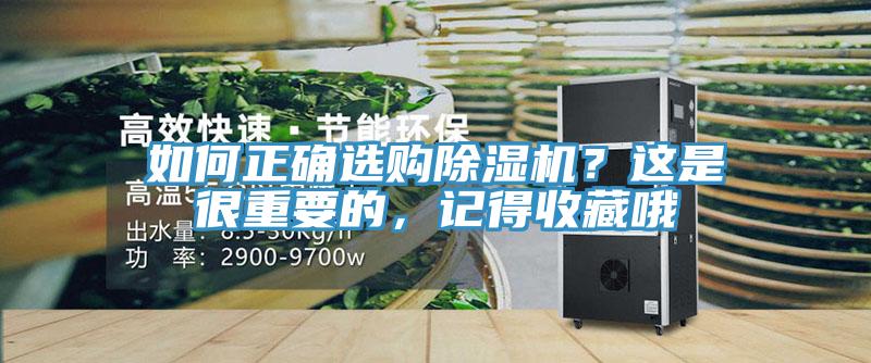 如何正確選購草莓污视频在线看？這是很重要的，記得收藏哦