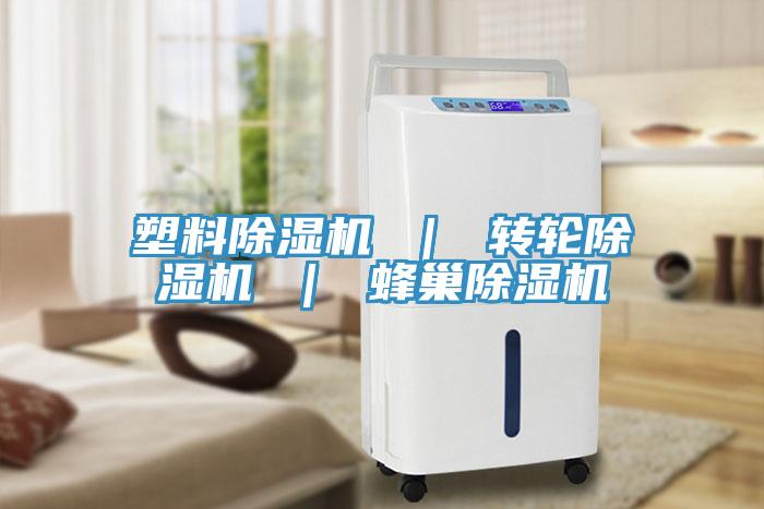 塑料草莓污视频在线看 ｜ 轉輪草莓污视频在线看 ｜ 蜂巢草莓污视频在线看
