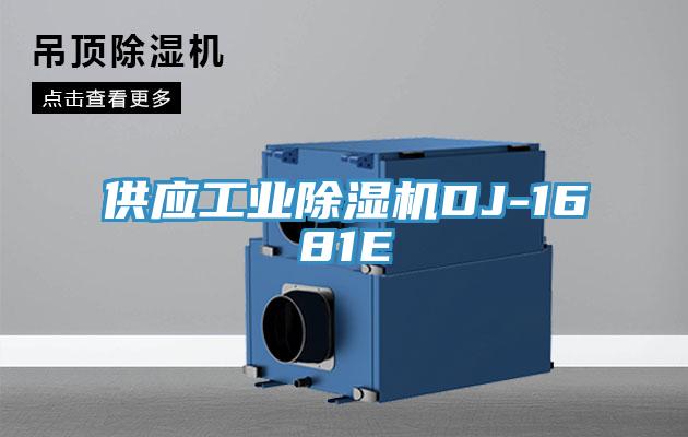 供應工業草莓污视频在线看DJ-1681E