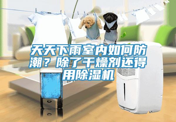 天天下雨室內如何防潮？除了幹燥劑還得用草莓污视频在线看