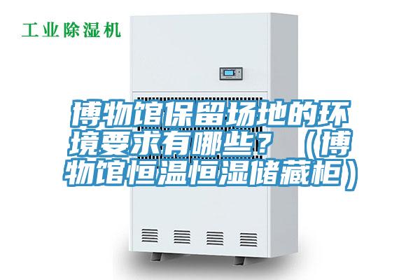 博物館保留場地的環境要求有哪些？（博物館恒溫恒濕儲藏櫃）