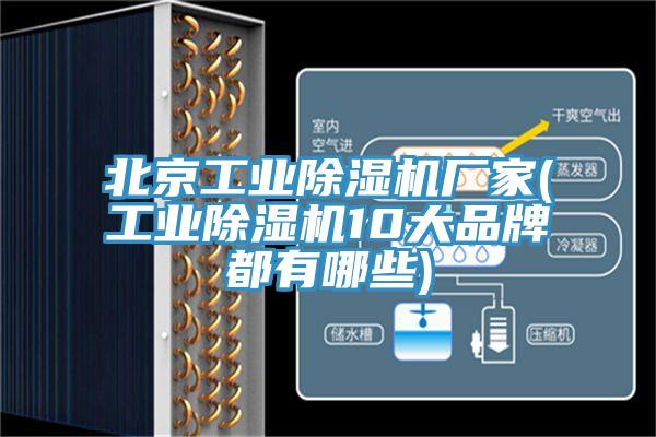 北京工業草莓污视频在线看廠家(工業草莓污视频在线看10大品牌都有哪些)