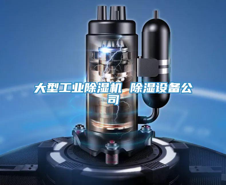 大型工業草莓污视频在线看 除濕設備公司