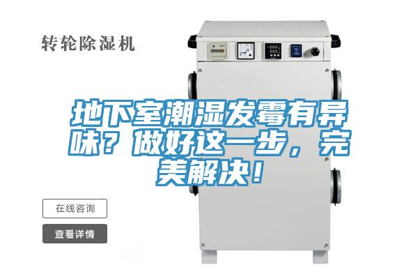 地下室潮濕發黴有異味？做好這一步，完美解決！