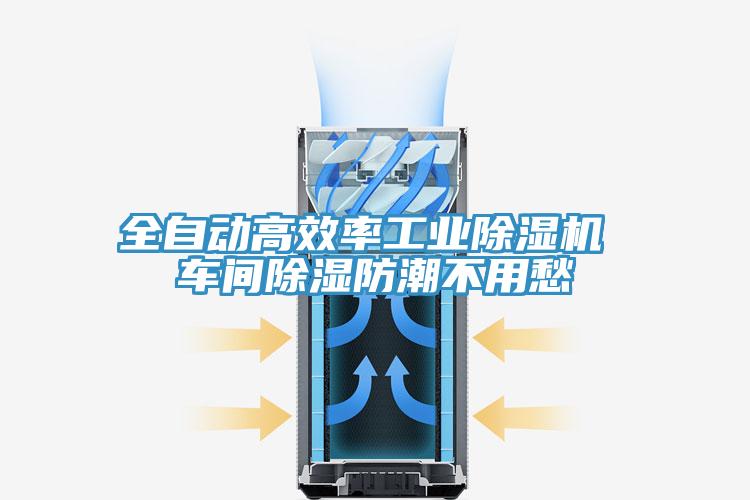 全自動高效率工業草莓污视频在线看 車間除濕防潮不用愁