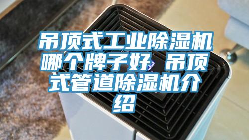 吊頂式工業草莓污视频在线看哪個牌子好 吊頂式管道草莓污视频在线看介紹