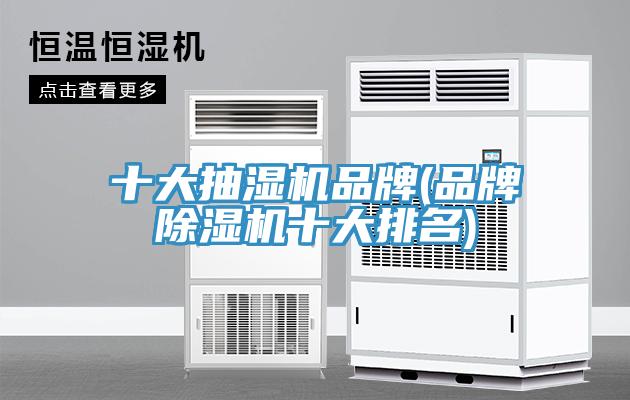 十大抽濕機品牌(品牌草莓污视频在线看十大排名)