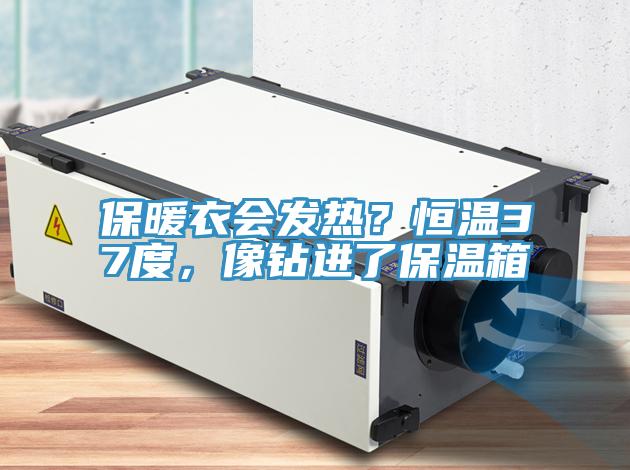 保暖衣會發熱？恒溫37度，像鑽進了保溫箱