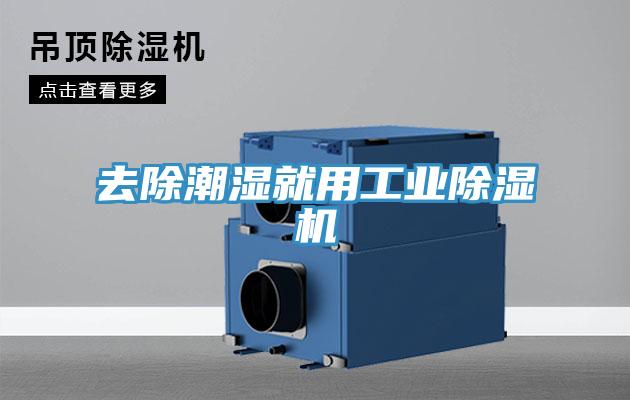 去除潮濕就用工業草莓污视频在线看