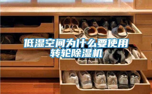 低濕空間為什麽要使用轉輪草莓污视频在线看