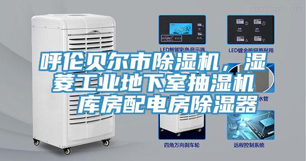 呼倫貝爾市草莓污视频在线看，濕菱工業地下室抽濕機  庫房配電房除濕器