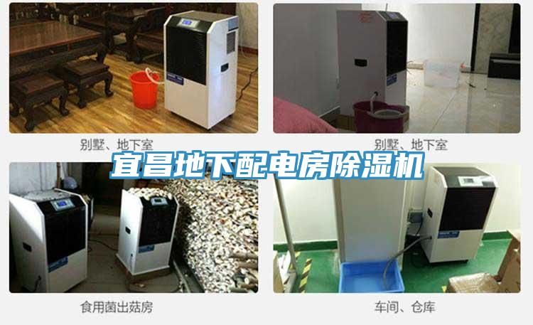 宜昌地下配電房草莓污视频在线看