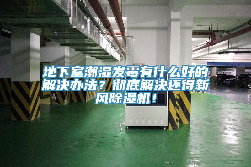 地下室潮濕發黴有什麽好的解決辦法？徹底解決還得新風草莓污视频在线看！