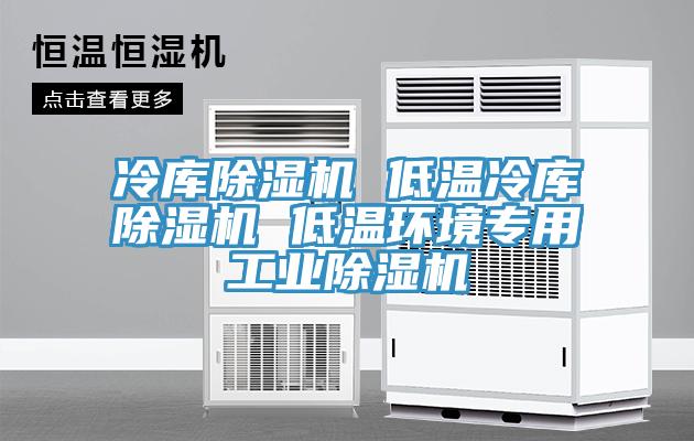 冷庫草莓污视频在线看 低溫冷庫草莓污视频在线看 低溫環境專用工業草莓污视频在线看