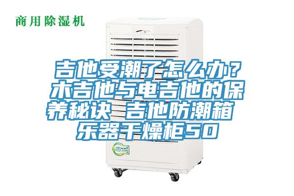 吉他受潮了怎麽辦？木吉他與電吉他的保養秘訣 吉他防潮箱 樂器幹燥櫃50