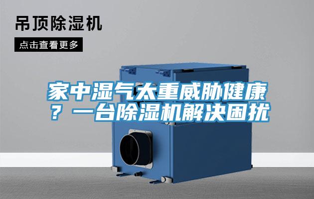 家中濕氣太重威脅健康？一台草莓污视频在线看解決困擾