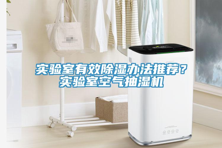 實驗室有效除濕辦法推薦？實驗室空氣抽濕機