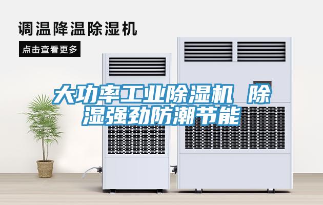 大功率工業草莓污视频在线看 除濕強勁防潮節能