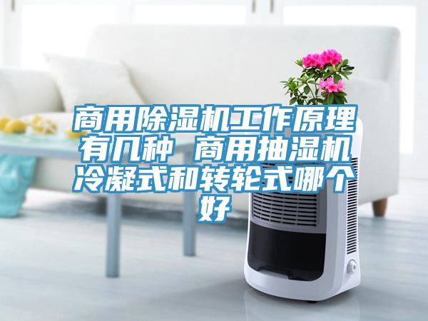 商用草莓污视频在线看工作原理有幾種 商用抽濕機冷凝式和轉輪式哪個好