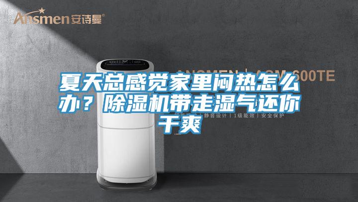 夏天總感覺家裏悶熱怎麽辦？草莓污视频在线看帶走濕氣還你幹爽