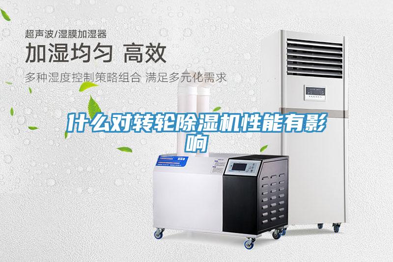 什麽對轉輪草莓污视频在线看性能有影響