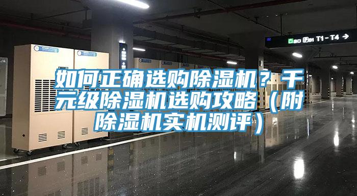 如何正確選購草莓污视频在线看？千元級草莓污视频在线看選購攻略（附草莓污视频在线看實機測評）