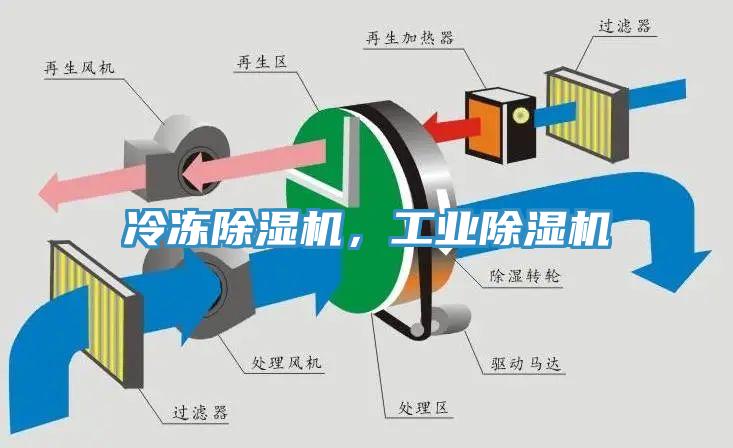 冷凍草莓污视频在线看，工業草莓污视频在线看