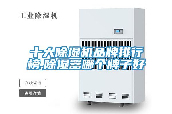十大草莓污视频在线看品牌排行榜,除濕器哪個牌子好