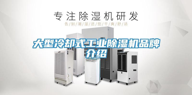 大型冷卻式工業草莓污视频在线看品牌介紹