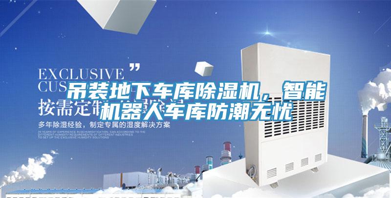 吊裝地下車庫草莓污视频在线看，智能機器人車庫防潮無憂