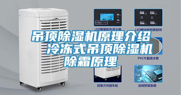 吊頂草莓污视频在线看原理介紹  冷凍式吊頂草莓污视频在线看除霜原理