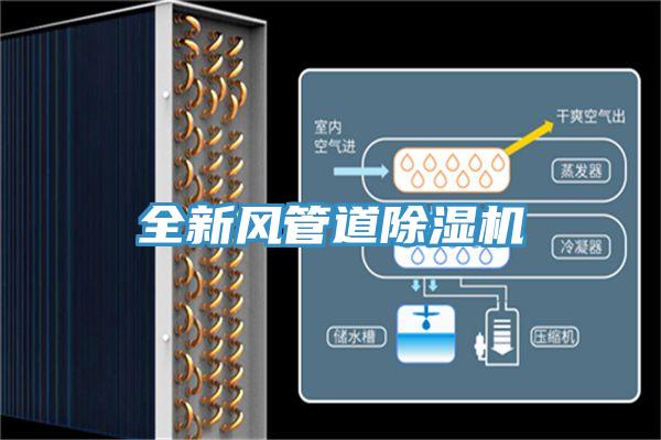 全新風管道草莓污视频在线看