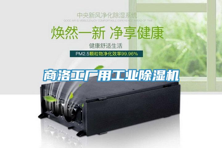 商洛工廠用工業草莓污视频在线看