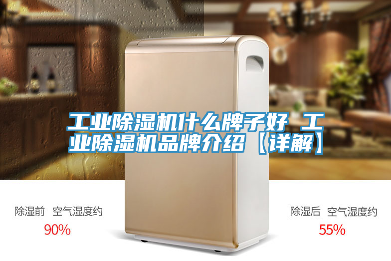 工業草莓污视频在线看什麽牌子好 工業草莓污视频在线看品牌介紹【詳解】